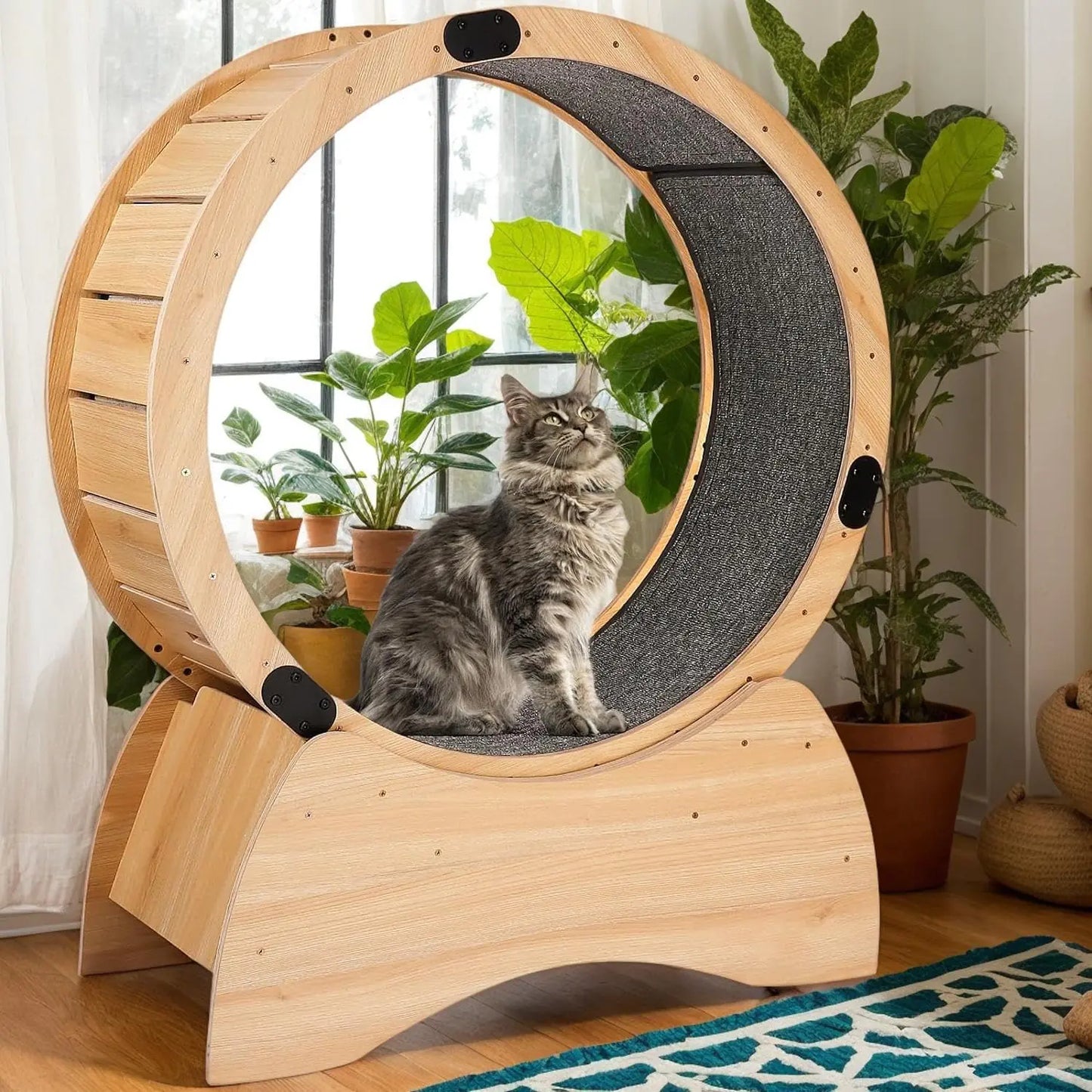 Cat Wheel for Indoor